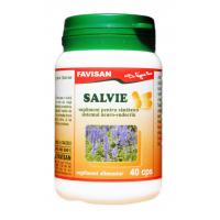 Salvie b036 40cps FAVISAN