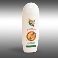 Sampon cu ulei de catina pentru par degradat 200ml PLANT ACTIV