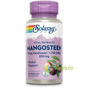 Mangosteen (Mangostan) Extract 500mg 60cps Secom,