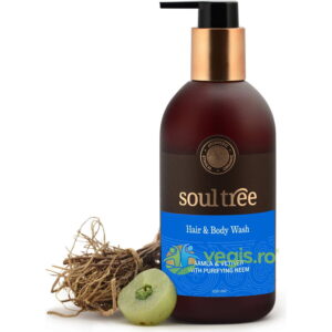 Sampon si Gel de Dus cu Amla, Vetiver si Neem 250ml