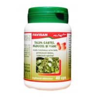 Talpa gastei, paducel si vasc b047 40cps FAVISAN