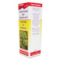 Tinctura de angelica x005 50ml FAVISAN