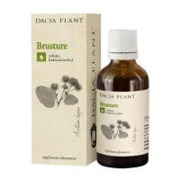 Tinctura de brusture 50ml DACIA PLANT