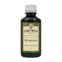 Tinctura de brusture 200ml FAUNUS PLANT