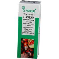 Tinctura de castan 50ml HOFIGAL