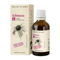 Tinctura de echinacea - fara alcool 50ml DACIA PLANT