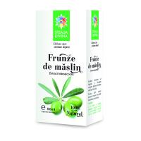 Tinctura din frunze de maslin 50ml STEAUA DIVINA