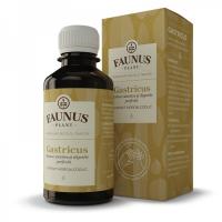 Tinctura gastricus 200ml FAUNUS PLANT