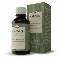 Tinctura hepatobiliarus 200ml FAUNUS PLANT