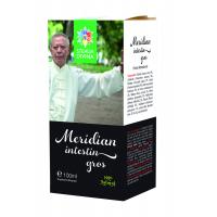 Tinctura meridian intestin gros 100ml STEAUA DIVINA