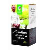 Tinctura meridian intestin subtire 100ml STEAUA DIVINA