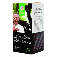 Tinctura meridian plamani 100ml STEAUA DIVINA