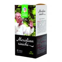 Tinctura meridian rinichi 100ml STEAUA DIVINA
