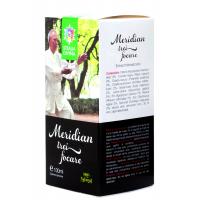 Tinctura meridian trei focare 100ml STEAUA DIVINA