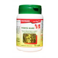 Turita mare b109 70cps FAVISAN