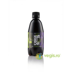 Kombucha cu Ghimbir Raw Ecologica/Bio 330ml