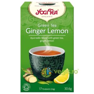 Ceai Verde cu Ghimbir si Lamaie Ecologic/Bio 17dz