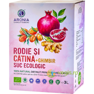 Suc de Rodie, Catina si Ghimbir Ecologic/Bio 3L