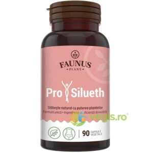 Prosilueth 90cps