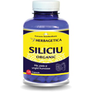 Siliciu Organic 120cps