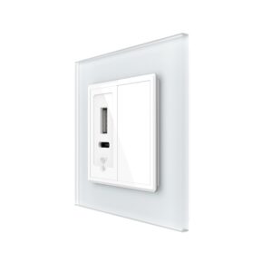 Priza USB-A + USB-C cu Rama Din Sticla si Tasta Falsa LIVOLO
