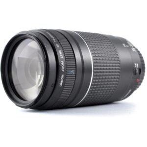 Obiectiv Canon EF 75-300mm f/4-5,6 III
