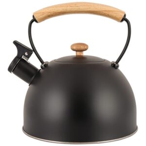 Ceainic TMC-15B Clara Capacitate  2.5L Otel Inoxidabil Negru